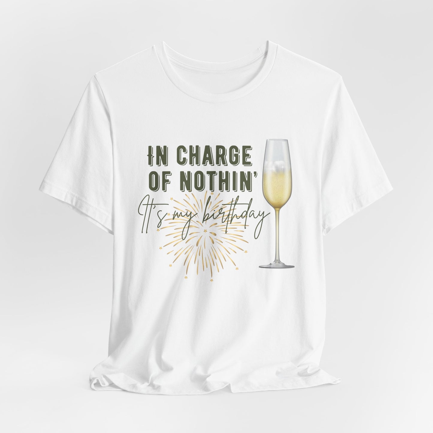New-In Charge of Nothing Its My Birthday Shirt, Birthday Party Group Shirts, Birthday Crew Shirts, Funny Birthday shirts, Gift for Birthday