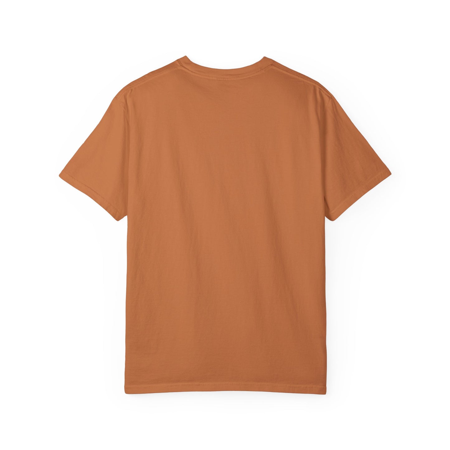 Comfort Colors Summer Days Shirt Beach Shirt Lake Day Shirt Hello Summer Tee Vacation Shirt Summer Vibes